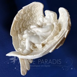 ANGES DANS PLUMES